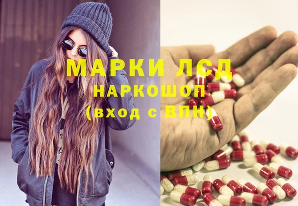 гидра Абаза