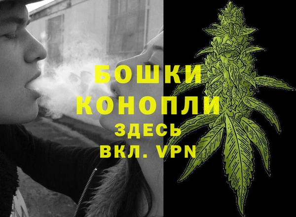 стаф Абдулино