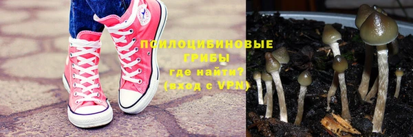 стаф Абдулино