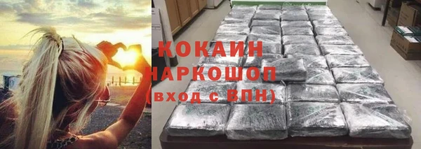 гидра Абаза