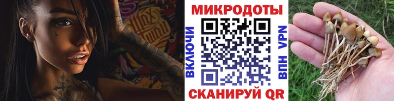 где купить   Ессентукская  Галлюциногенные грибы мухоморы 