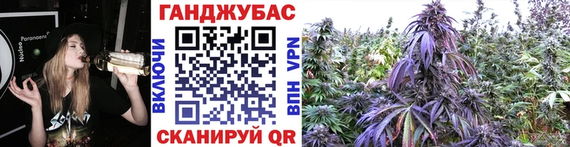 KRAKEN маркетплейс  Ессентукская  Каннабис сатива  купить наркотики цена 